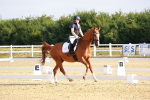 SBM_008148