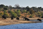 Botswana portfolio