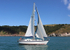 140729 SCOT FREE GBR1443T WT7A1833