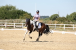 SBM_001655