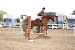 SBM_02913