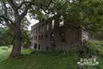 Griffe Mill 7