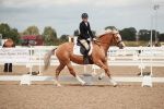 SBM_05894