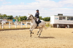 SBM_006063