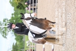 BPP_7636_2
