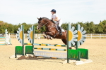 SBM_002864