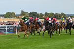 130825-Race 4-Rock Of England-1234