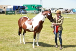 SBM_05469
