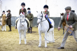 Ring 2 - Arena 1 -  Tiny Tot - 1st Ridden Classes & M&M classes 23-2-25 portfolio