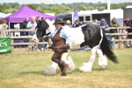 SBM_16061
