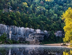 Nature portfolio
