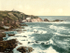 Lizard Point 4