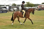 SBM_10690