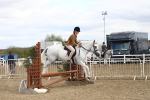 SBM_16431
