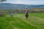 DSCF1364