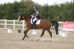 SBM_015871