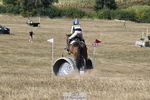 2147-George.Walford-meadow.sweet.conker portfolio