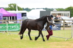SBM_00599
