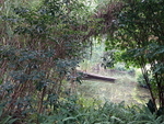 CHINA__0093