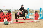 SBM_007211