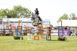 SBM_08190