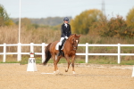 SBM_010520
