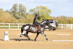SBM_002147