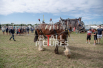 Guernsey Agricultural Show 2021-165