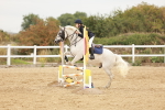 SBM_008334