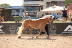 SBM_04564