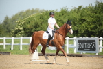 SBM_007972