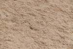 WJ5_6450