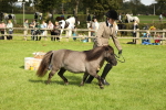 SBM_62798
