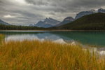 Waterfowl Lake 2