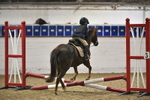 SJ2_9335