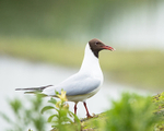 20140527-3K8A1844