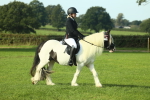 S38 - Starters Ridden Showing portfolio