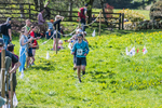 The Finish-355