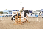 SBM_06729