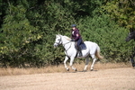 WJ6_8141