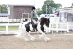 SBM_01490