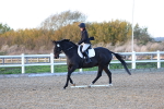 SBM_003338
