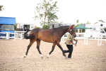 SBM_08268