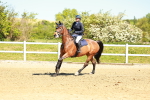 SBM_000768