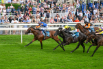 080925-Race 4-Zain Blue-7626