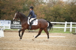 SBM_001608