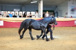 SBM_18486