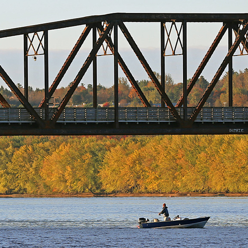 A lone boat fishes for Stripers (Striped Bass) along the Saint John River at Fredericton.