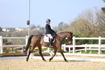 British Dressage - Pendarves portfolio