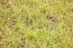 SBM_06079